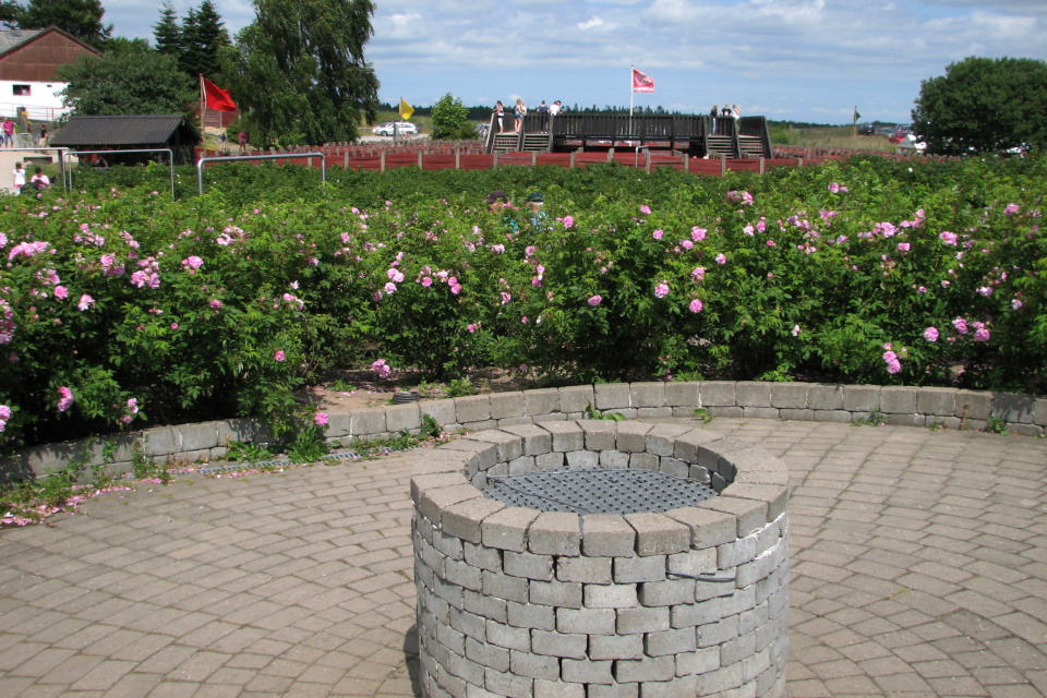 Колодец посреди лабиринта из роз, парк Лабиринтия, Дания