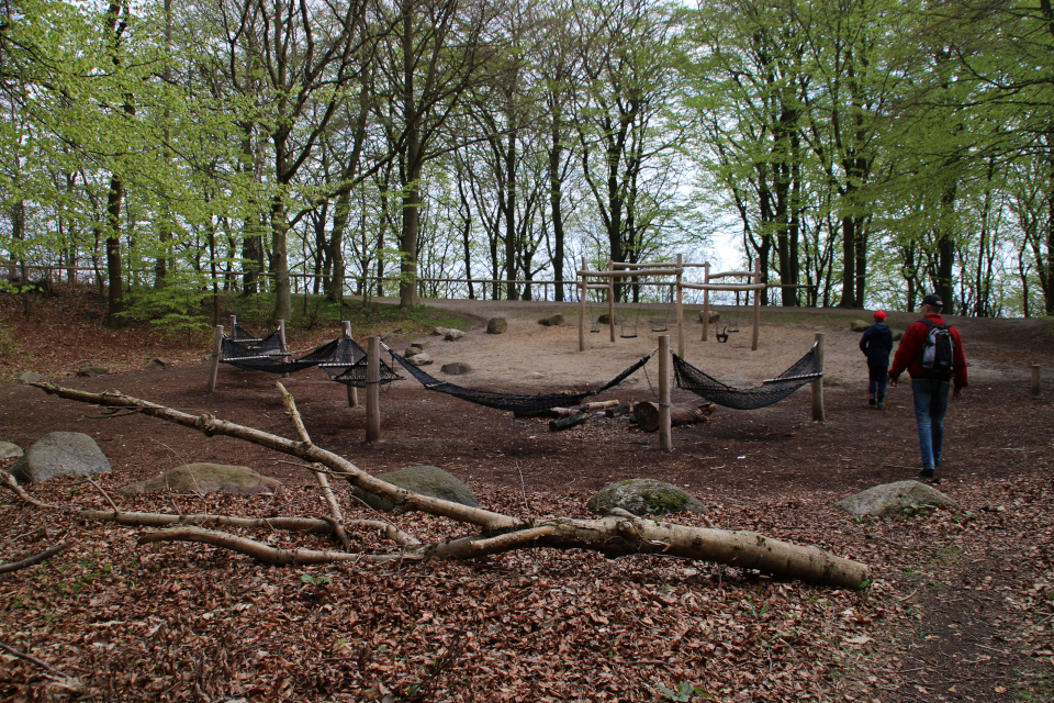 Детская площадка в буковом лесу Марселисборг