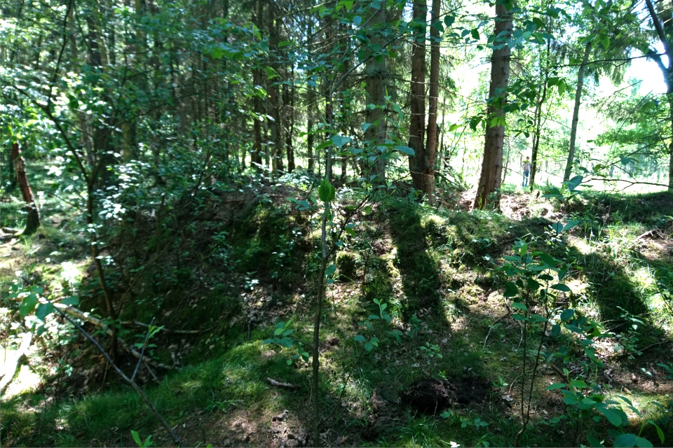 Глубокие ямы, вырытые в лесу в конце второй мировой войны