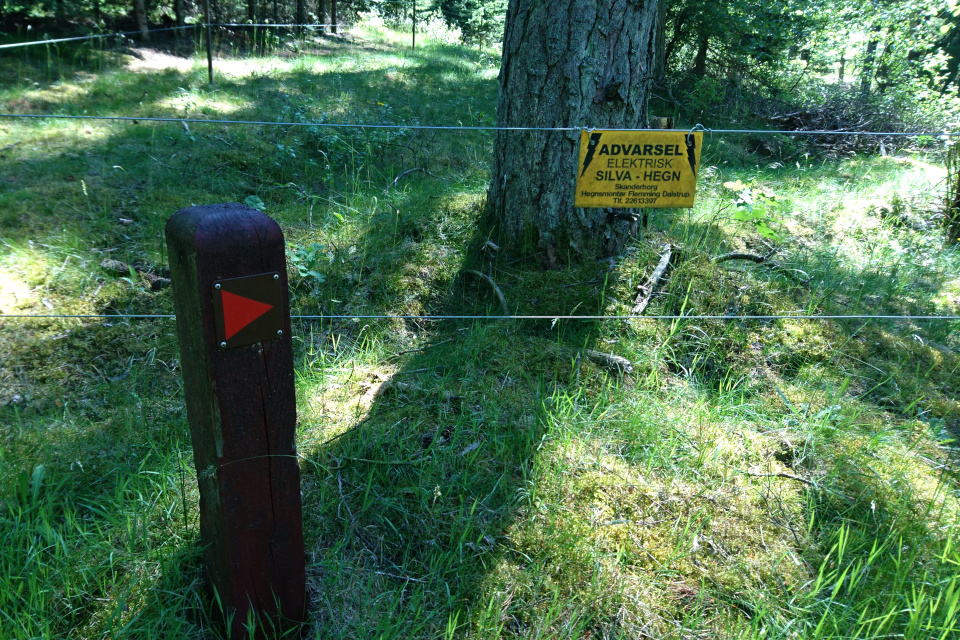 Табличка, предупреждающая о том, что ограда электрическая