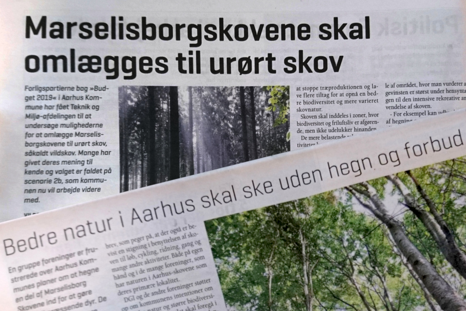 Статья в газете Landbrug Fyn про лес Марселисборг