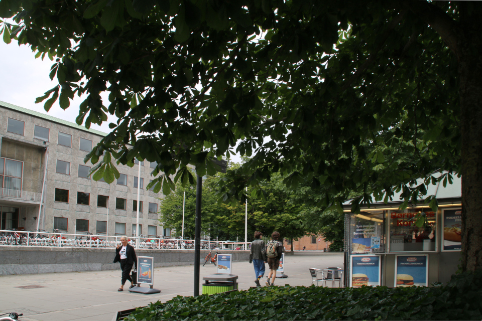 Датский сосисочный ларек перед ратушей в центре г. Орхуса