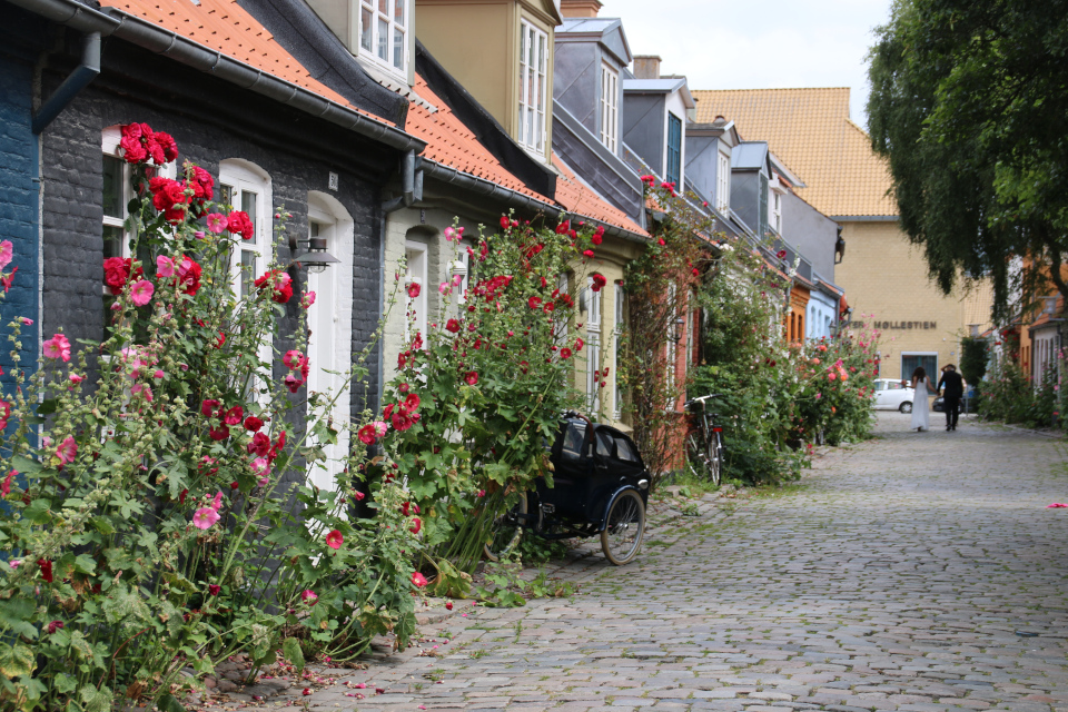 Молодожены на старой мельничной улочке в Орхусе. Фото 25 июл. 2020, Дания