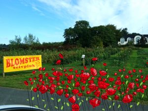 Цветочные магазины самообслуживания в Дании