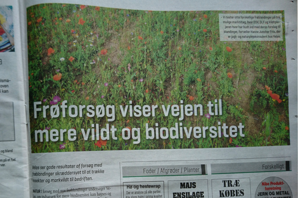 Статья в газете LandrugNord, авг. 2020 про тестирование различных смесей семян