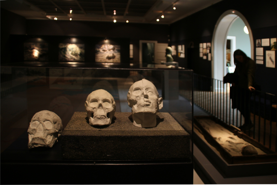 головы Витуса Беринга, музей г. Хорсенс, Дания