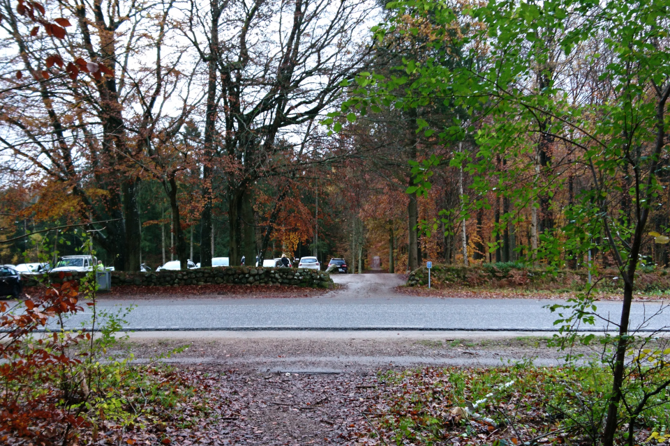 Вид на "Большой парк животных" со стороны дороги Overdrevsvejen