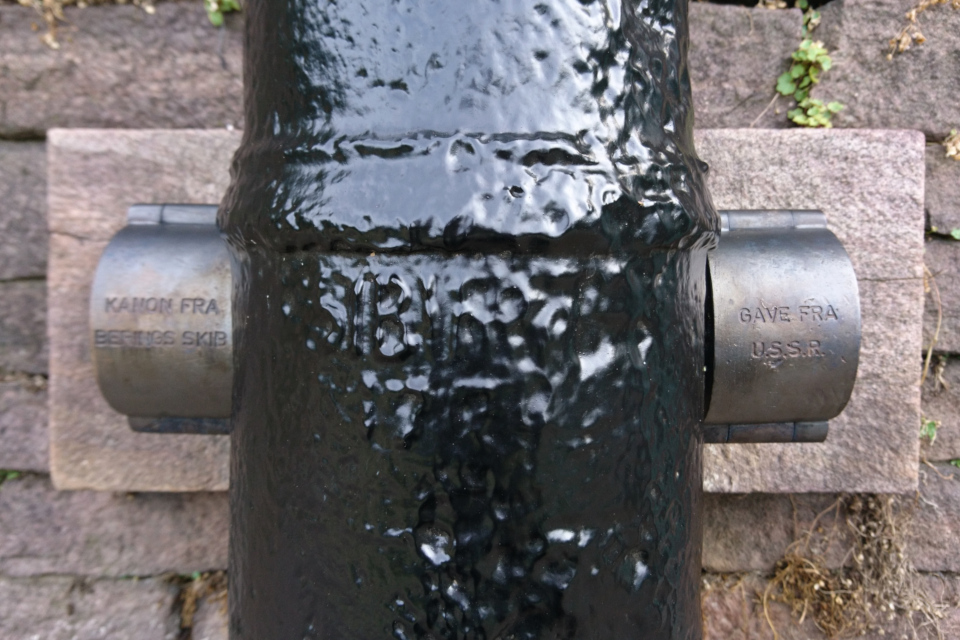 Пушка с надписью "Сибирь", парк Витуса Беринга в Хорсенс, Дания