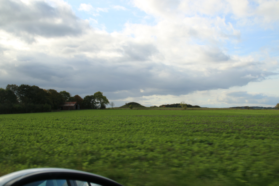 Курган посреди рапсового поля. Вид с дороги по пути к Хой Стене, Дания