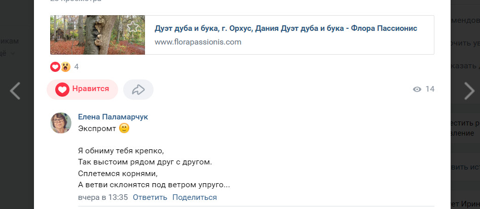 Скриншот Вконтакте 6 нояб. 2022