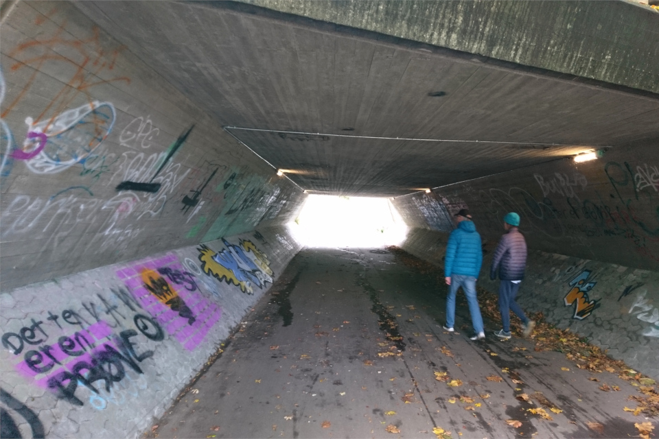 Туннель в Холме, Håndværkerparken. 24 окт. 2020, Дания