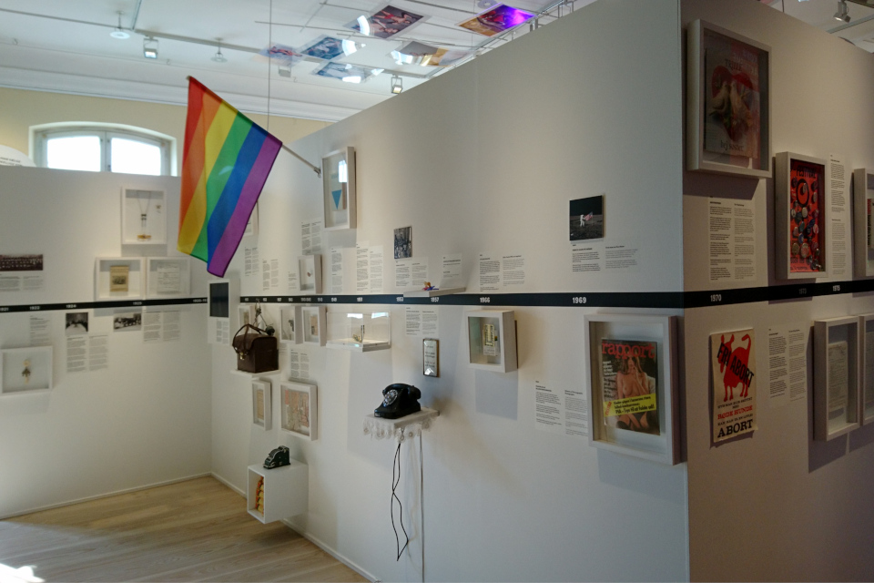 Музей женщин - Музей Гендеров 8 марта 2019, Дания