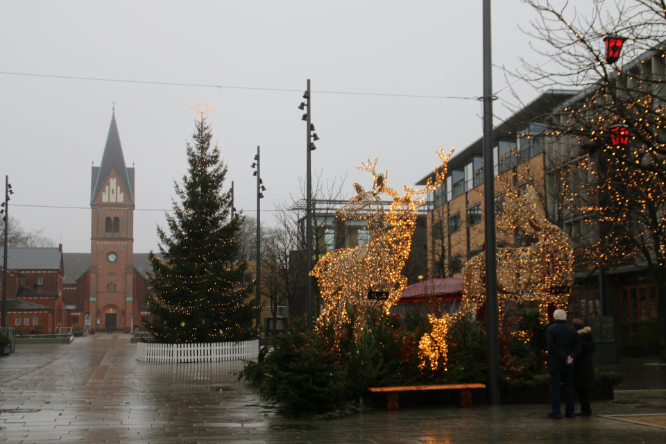 Рождественское убранство в Хернинг, Дания. Фото 15 дек. 2020