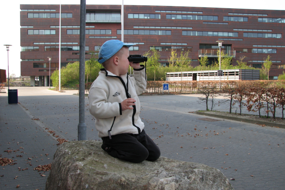 Мой сын возле нового здания Arla в Дании