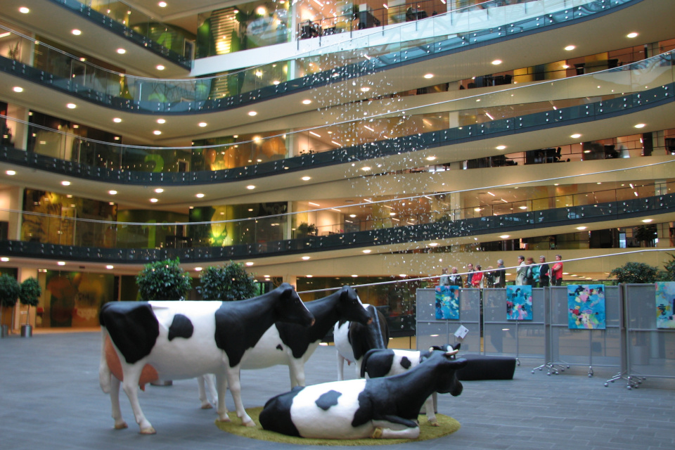 Коровы в зале здания Arla в Дании