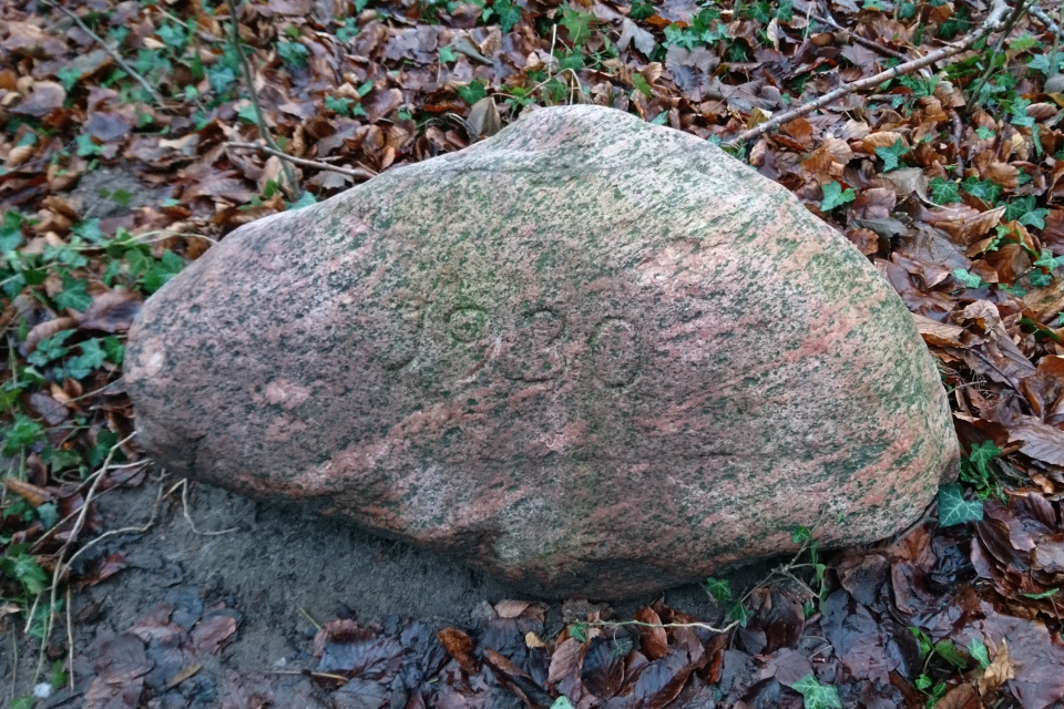 Курганы в лесу Киркесков, г. Орхус, Дания. 24 янв.2021