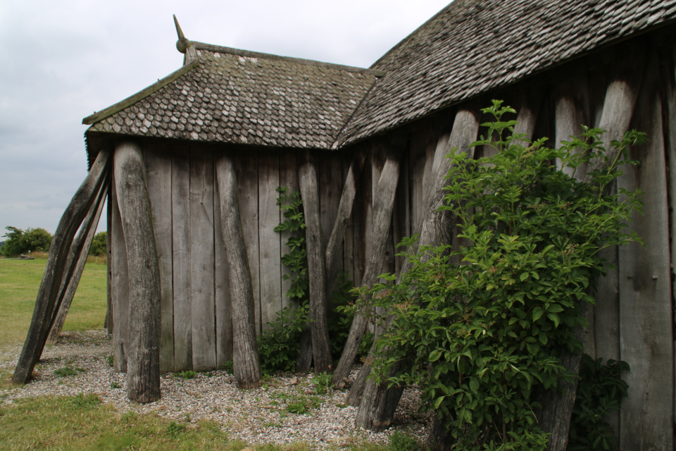 Огороды викингов Фюркат. Фото 11 июл 2019, Дания