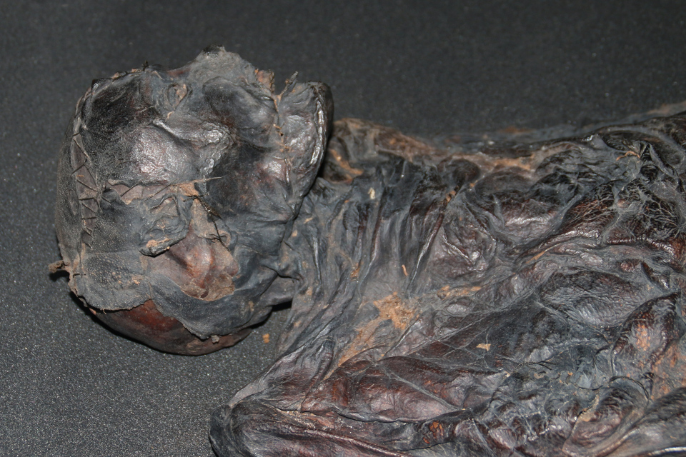 Женщина из Харальдскера, болотная мумия. Фото 12 нояб. 2020