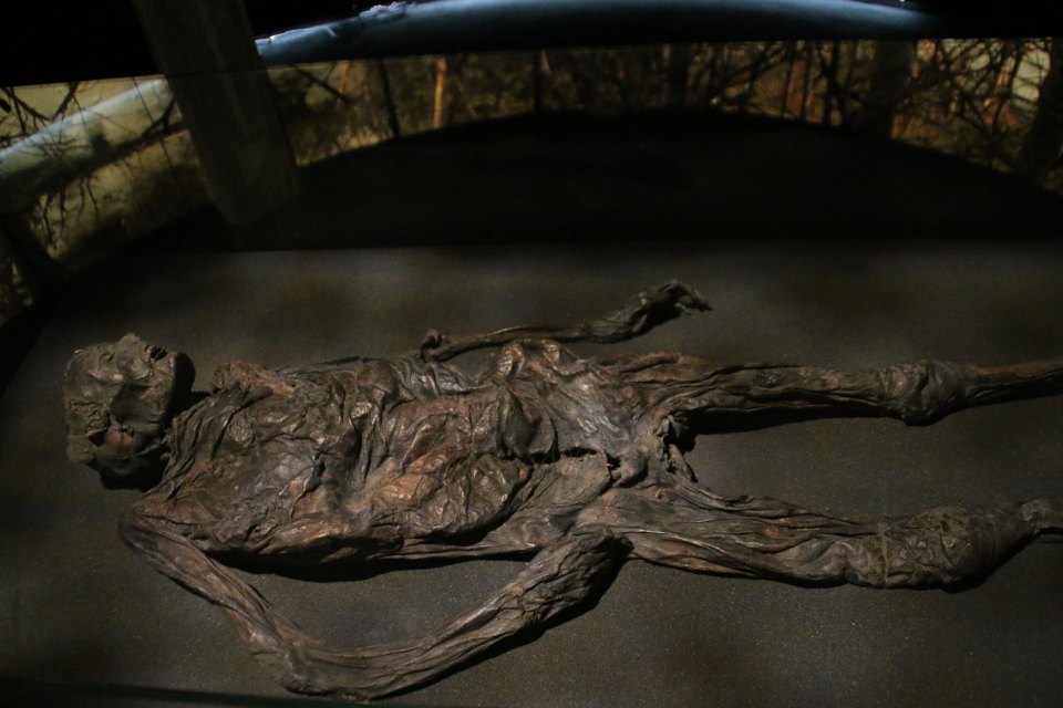 Женщина из Харальдскера, болотная мумия. Фото 12 нояб. 2020