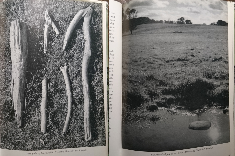 Фото из книги П. Глоба “Болотные люди (“Mosefolket”, R.V.Glob), изд. 1963 г.