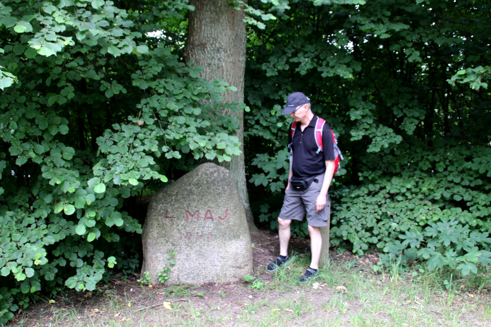 Памятный камень на холме с курганом Хобьерг, Биркерёд (Høbjerg, Birkerød). Фото 10 июл. 2021