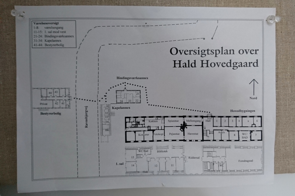 Поместье Хальд, Дания Hald Hovedgård. Фото 6 сент. 2018
