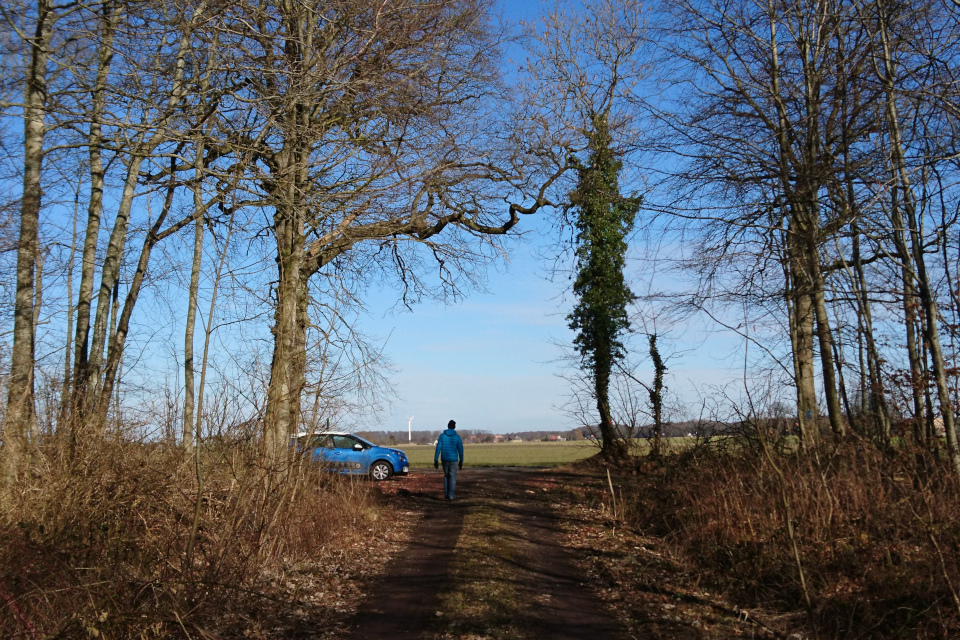 Парковка возле дороги в частной лесу. Fensten Sønderskov. Фото 9 мар. 2021