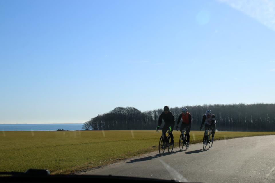 Велосипедисты на дороге с видом на море. Фото 9 мар. 2021