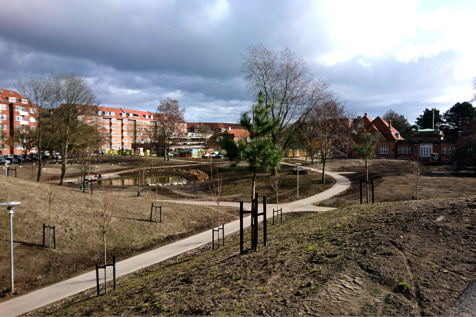 Закладка дождевого парка Спарк, г. Орхус, Дания. 7 мар. 2021