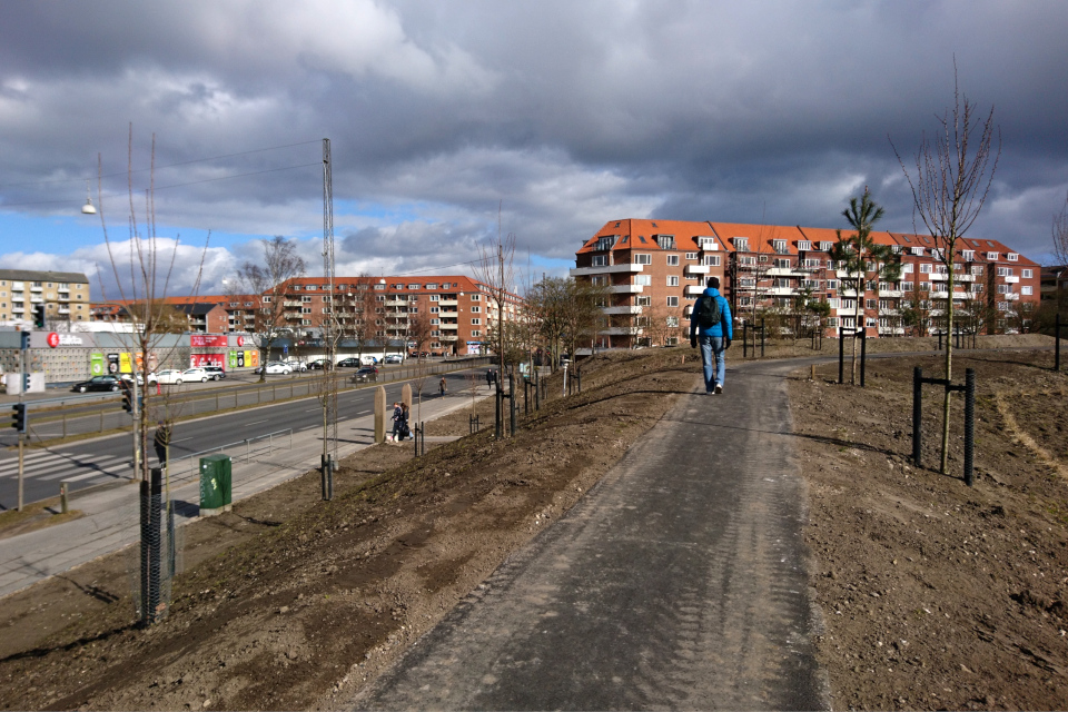 Закладка дождевого парка Спарк, г. Орхус, Дания. 7 мар. 2021