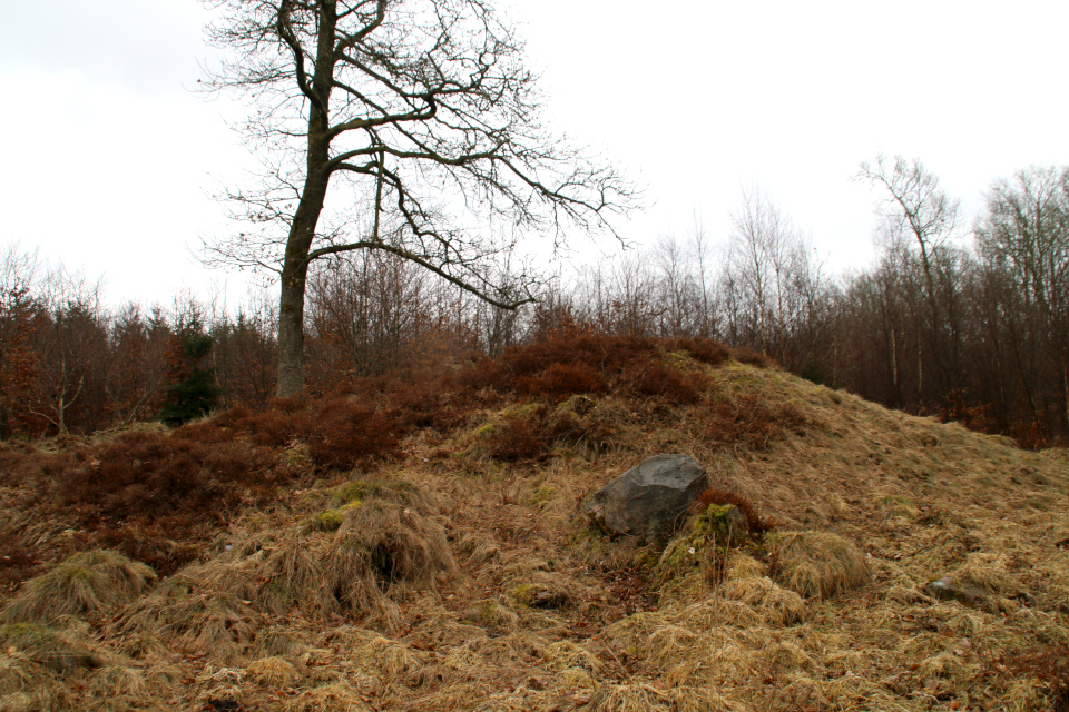 Колотый камень в лесу у подножья кургана. Фото 28 мар. 2021, Триндеруп, Дания