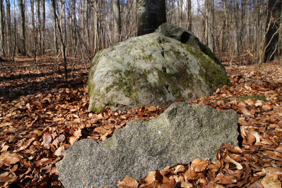 Следы клиньев на расколотом камне в лесу Хёррет, г. Морслет, Дания