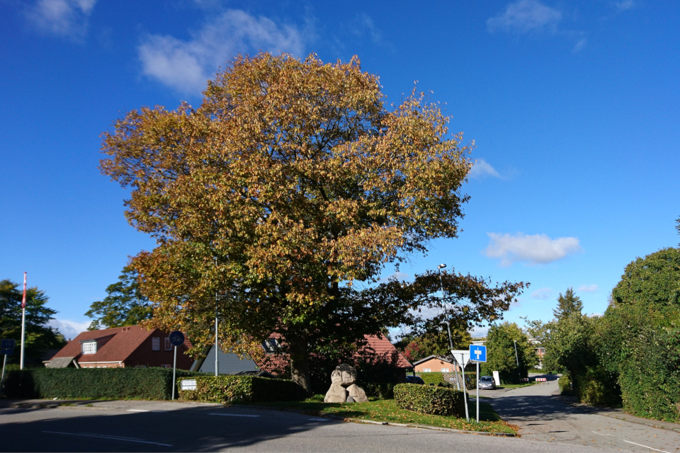Памятник освобождения Дании, Холме (Holme). Фото 1 окт. 2018