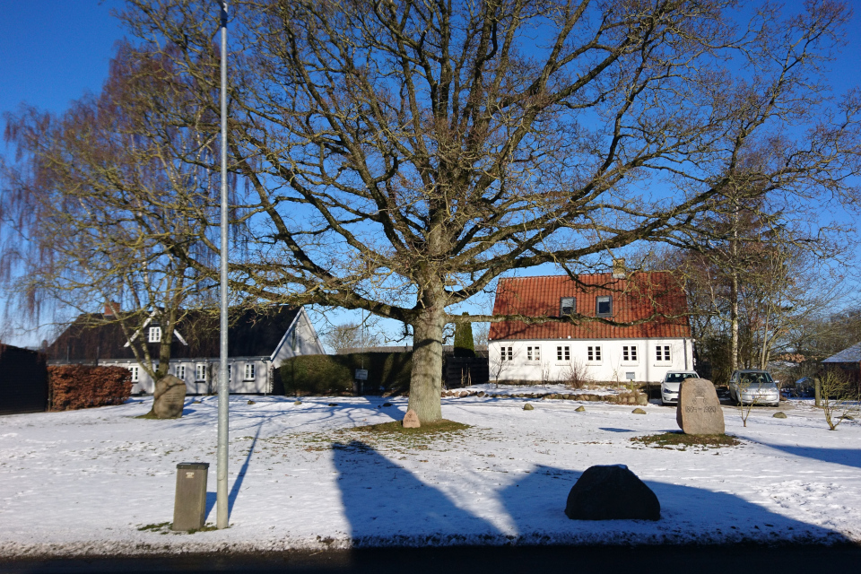 Памятные камни г. Тодбьерг (Todbjerg), Дания. Фото 14 фев. 2021