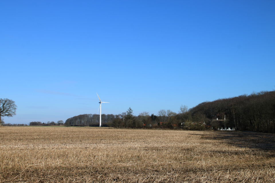 Вид на ветряную мельницу. Фото 9 мар. 2021, г. Оддер, Дания