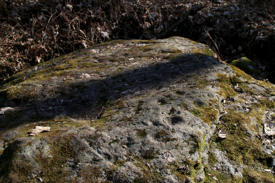 Лунки, выбитые на камне. Фото 9 мар. 2021, Fensten Sønderskov, Оддер, Дания