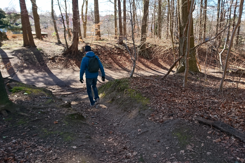 Доисторические дороги в лесу Торсков. Фото 19 мар. 2021, Орхус, Дания