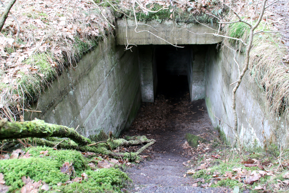 Лестница в подземный бункер летного поля Рю, Дания