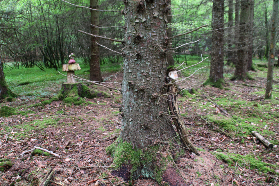 Тролли в хвойной части лес Скивхольме, Дания. Фото 13 мая 2021