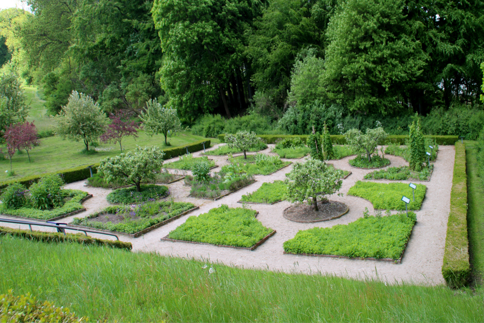 Монастырский сад с клумбами для лекарственных растений и яблоневый сад Асмильд. Фото 2 июн. 2021, г. Виборг, Дания 