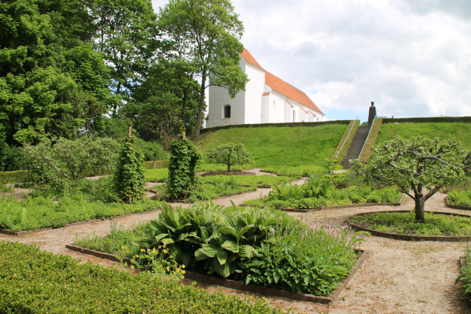 Вид на монастырский сад Асмильд со стороны клумб 1200 х годов (13 столетия), г. Виборг, Дания. Фото 2 июн. 2021