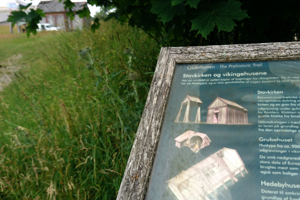 Старый информационный щит возле тропинки, ведущей к деревянной церкви викингов Хёрнинг, г. Орхус, Дания. Фото 2 июл. 2021