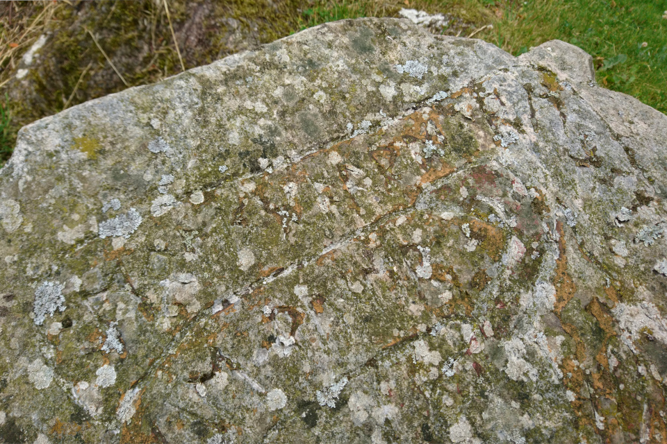 Камень с рунами. Мосгорд (Moesgaard), Дания. Фото 2 июл. 2021
