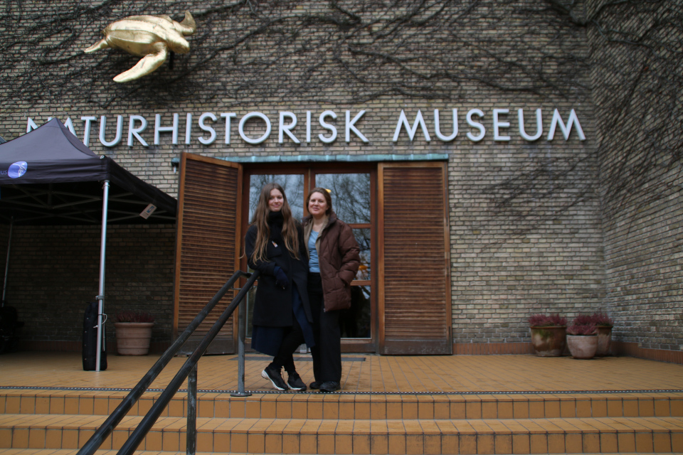 Музей естественной истории Орхус, Дания (Naturhistorisk Museum Aarhus). Фото 8 фев. 2019