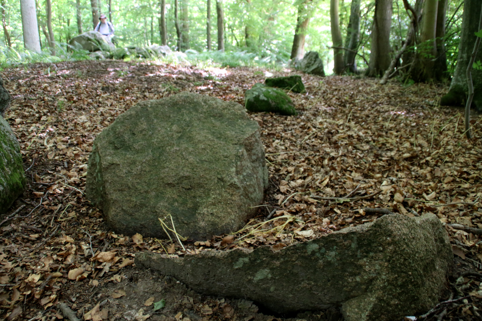 Колотые камни (rillesten). Удлиненный дольмен Колдинг (langdysse Kolding), Дания. Фото 12 июл. 2021