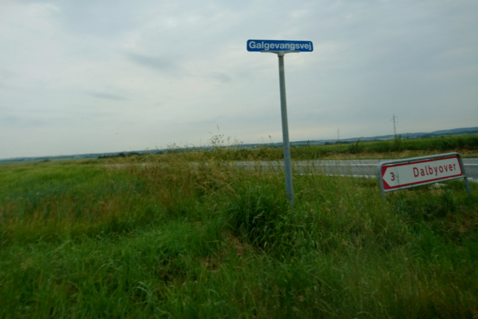 Galgevangvej landevej, Dalbyover. Муниципалитет Рандерс, дорога к Удбюхой, Дания. Фото 28 июля 2021 