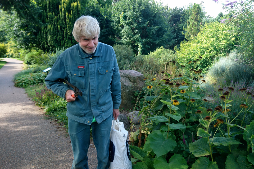 Поуль Эрик на каменистых горках ботанического сада г. Орхус, Дания. Фото 4 авг. 2021