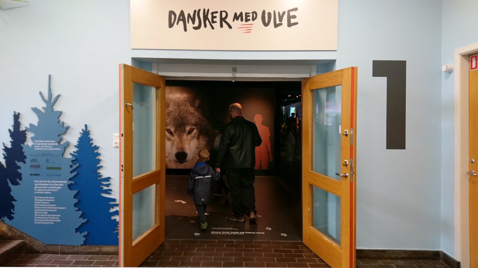 "Датчане и волки", выставка в музее естественной истории Орхус (Dansker med Ulve, Naturhistorisk Museum), Дания. Фото 29 авг. 2021