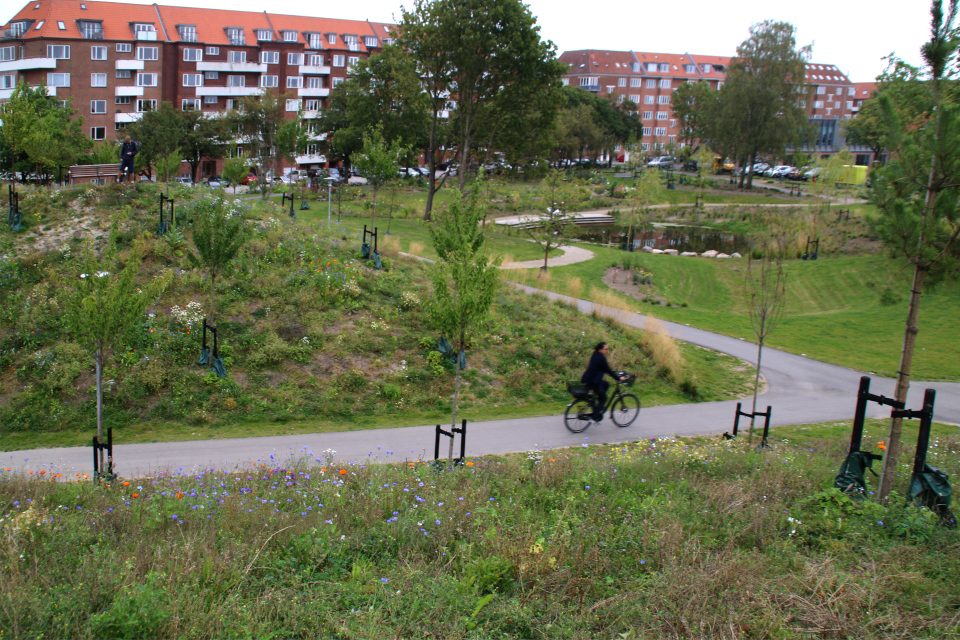 Экстремальный натурализм. Дождевой парк Спарк (Spark rain park, Marselisborg center), Орхус, Дания. Фото 2 сент. 2021