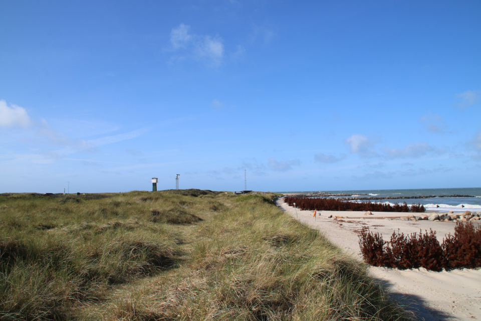 Обзорная башна. Бункеры Тюборён (Bunkerne Thyborøn), Атлантический вал, Дания. Фото 25 сентября 2021